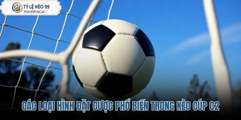 cac-loai-hinh-dat-cuoc-pho-bien-trong-keo-cup-c2