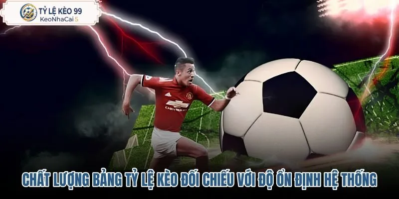 chat-luong-bang-ty-le-keo-doi-chieu-voi-do-on-dinh-he-thong chat-luong-bang-ty-le-keo-doi-chieu-voi-do-on-dinh-he-thong