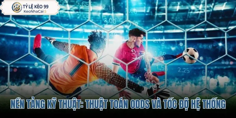 danh-gia-nen-tang-ky-thuat-thuat-toan-odds-va-toc-do-he-thong danh-gia-nen-tang-ky-thuat-thuat-toan-odds-va-toc-do-he-thong