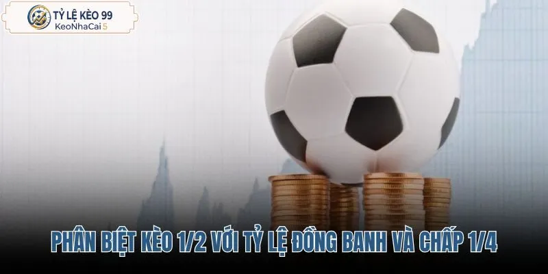 phan-biet-keo-1-2-voi-ty-le-dong-banh-va-chap-1-4