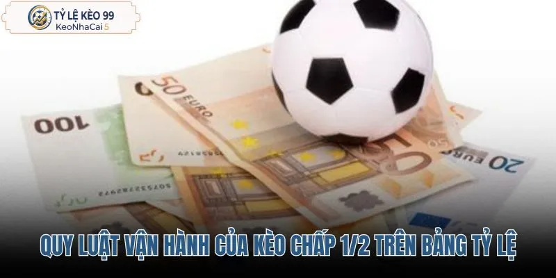 quy-luat-van-hanh-cua-keo-chap-1-2-tren-bang-ty-le